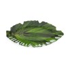 Zen Green Small Serving Platter