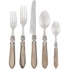 Aladdin Taupe Antique Five Piece Place Setting