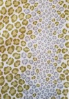 Cheetah Spots 66" Square Cloth