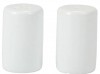 Chroma White Salt and Pepper Set