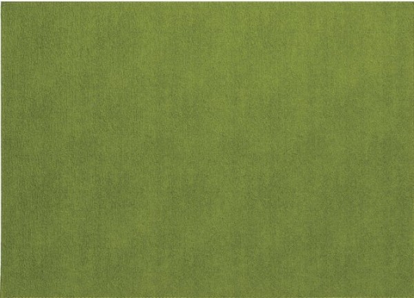 Presto Rectangle Placemat Grass Set/4