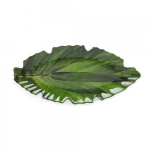 Zen Green Small Serving Platter