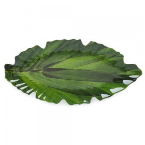 Zen Green Large Serving Platter