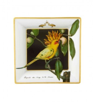 Amazonia Small Square Tray