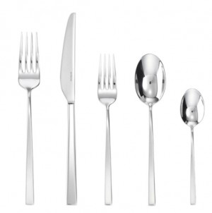 Linea Q Stainless Five Piece Place Setting