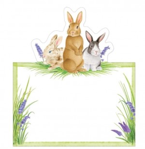 Bunnies & Daffodils Placecards Set/8