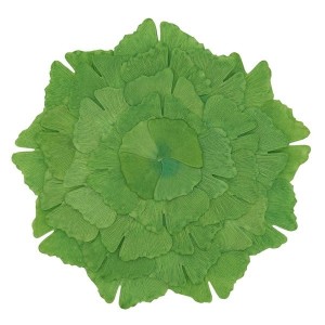 Ginkgo Leaf Placemat Set/4
