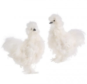 13" White Silky Chicken