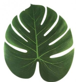Monstera Leaf Placemat Set/4