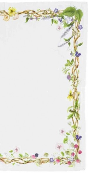 Meadow Walk Linen Napkin Set/4