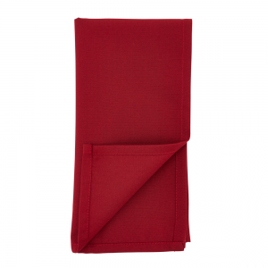 Everyday Napkin in Red Set/4