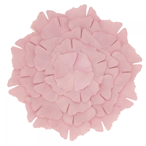 Ginko Pink Leaf Placemat Set/4