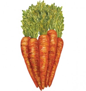 Carrots Table Accent Set/12