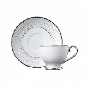 Princess Platinum Teacup and Saucer