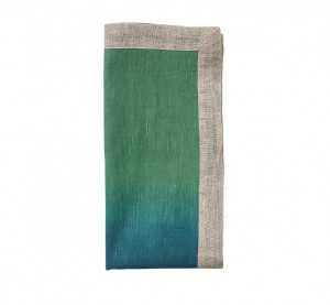 Dip Dye Napkin in Navy and Green Set/4