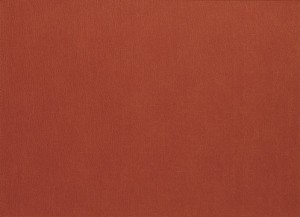 Presto Rectangle Placemat Paprika Set/4